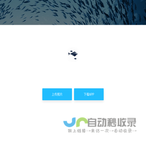 沙丁